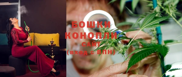 ГАЛЛЮЦИНОГЕННЫЕ ГРИБЫ Вяземский