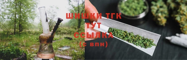 ГАЛЛЮЦИНОГЕННЫЕ ГРИБЫ Вяземский