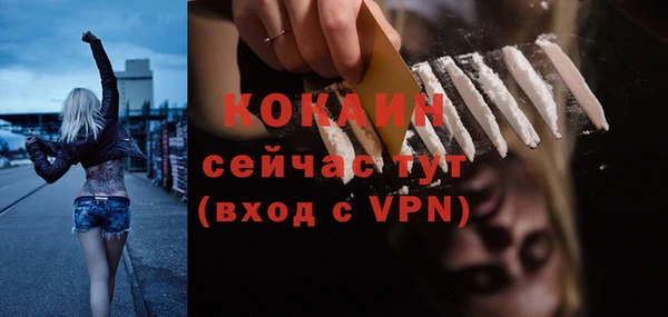 мдпв Вязьма