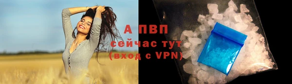 мдпв Вязьма