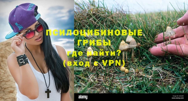 ГАЛЛЮЦИНОГЕННЫЕ ГРИБЫ Вяземский