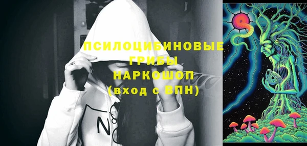 мдпв Вязьма