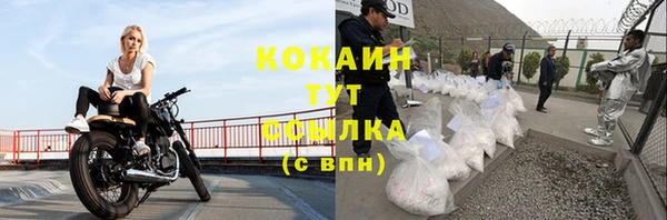 ГАЛЛЮЦИНОГЕННЫЕ ГРИБЫ Вяземский
