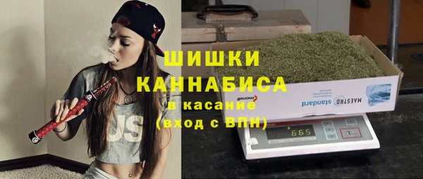 ГАЛЛЮЦИНОГЕННЫЕ ГРИБЫ Вяземский